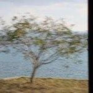 Meet your Posher, Clarissa